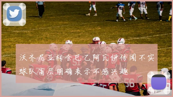 沃齐尼亚转会巴乙阿瓦伊传闻不实球队高层明确表示不感兴趣